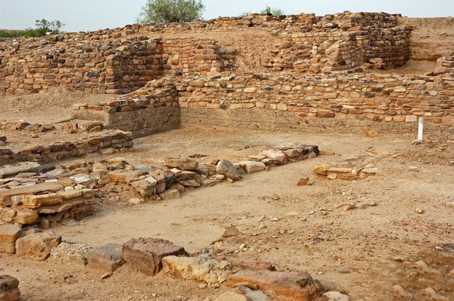 भगत्रव सिंधु घाटी सभ्यता का एक छोटा पुरातात्विक स्थल है। इसकी खुदाई भारतीय पुरातत्व सर्वेक्षण द्वारा डॉ. एस. आर. राव के नेतृत्व में की गई थी।